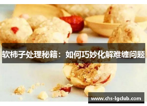 软柿子处理秘籍:如何巧妙化解难缠问题 软柿子处理秘籍:如何巧妙化解难缠问题