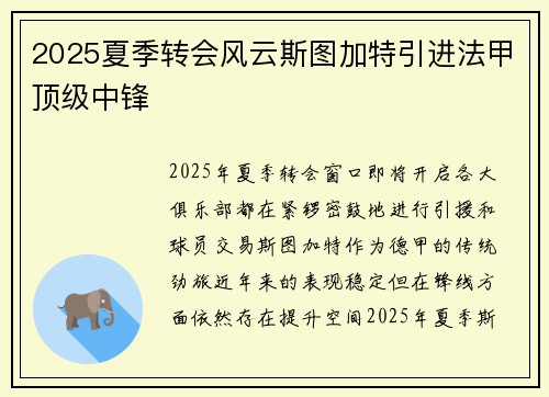 2025夏季转会风云斯图加特引进法甲顶级中锋 2025夏季转会风云斯图加特引进法甲顶级中锋