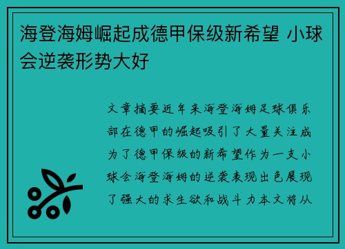 海登海姆崛起成德甲保级新希望 小球会逆袭形势大好